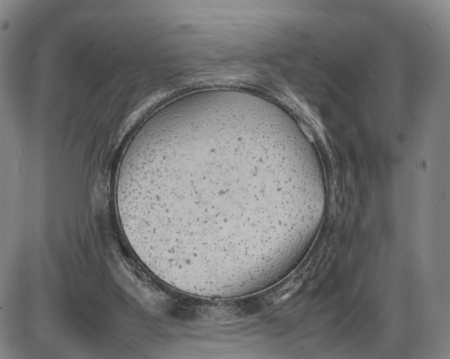 X0000085010107200703261205