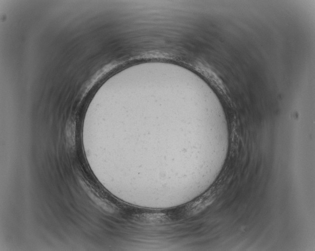 X0000085010108200703261205