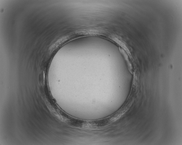 X0000085010109200703261205