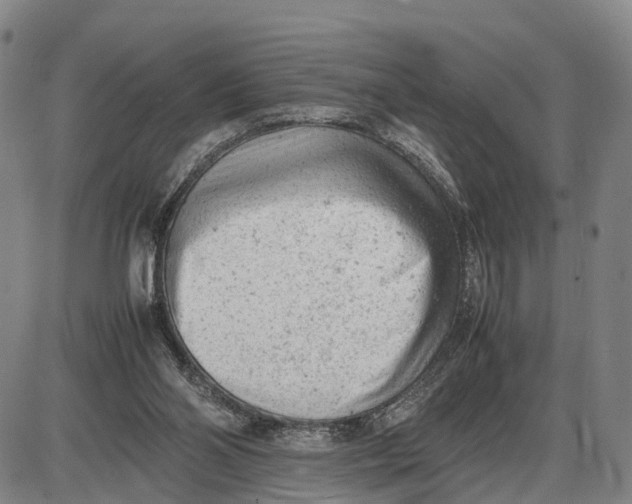 X0000085010110200703261205