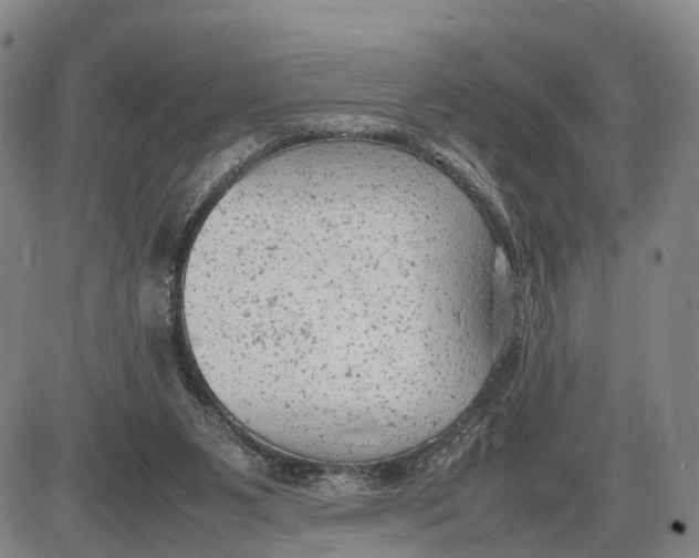 X0000085010111200703261205