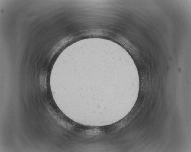 X0000085010112200703261205