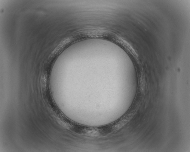 X0000085010113200703261205