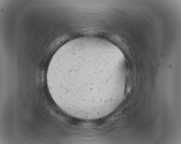 X0000085010115200703261205