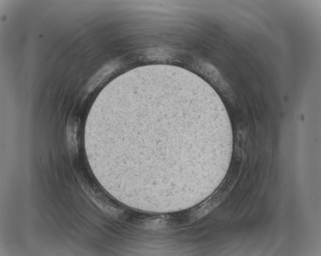 X0000085010116200703261205