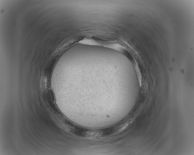 X0000085010117200703261205