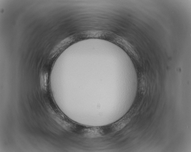 X0000085010118200703261205