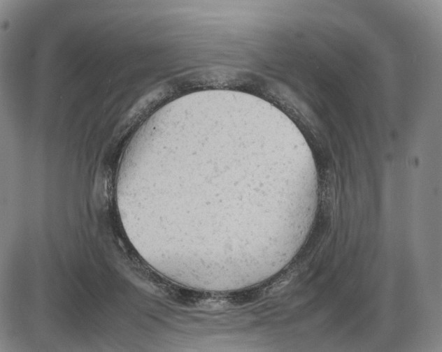 X0000085010119200703261205