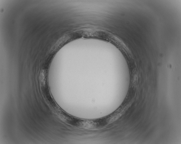 X0000085010121200703261205