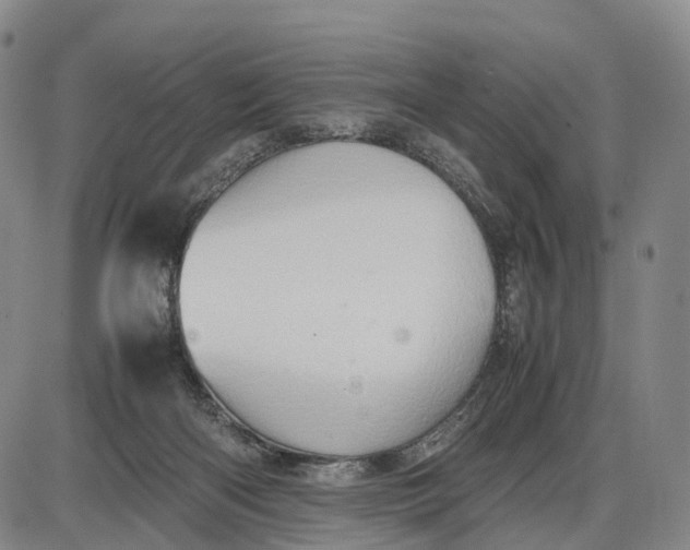 X0000085010122200703261205