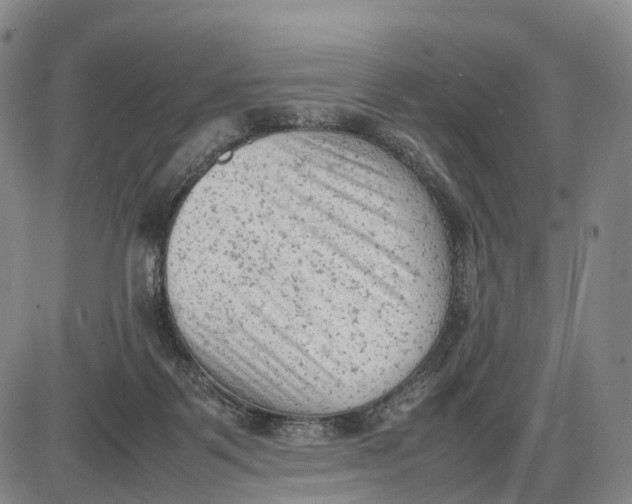 X0000085010123200703261205