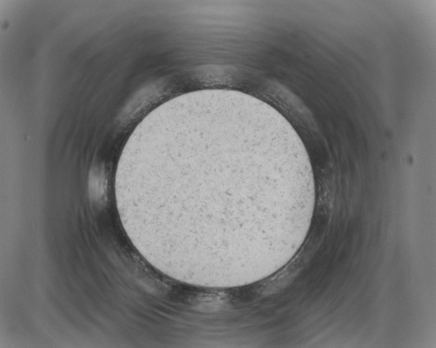 X0000085010124200703261205