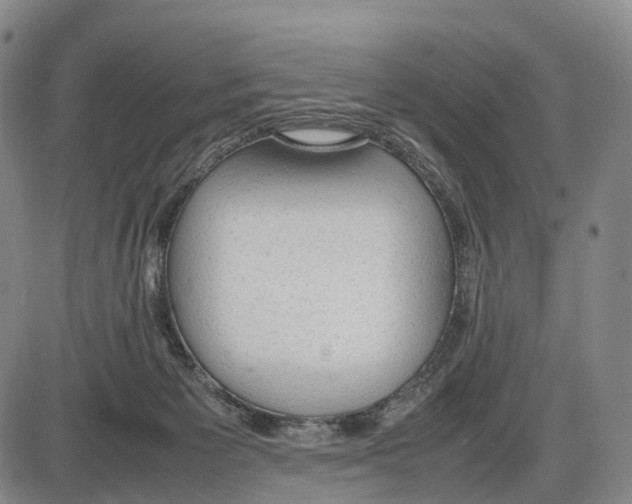 X0000085010125200703261205