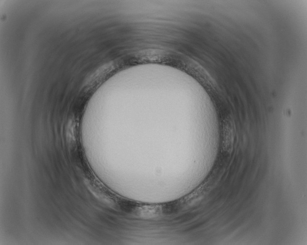 X0000085010126200703261205