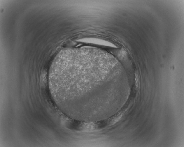 X0000085010127200703261205