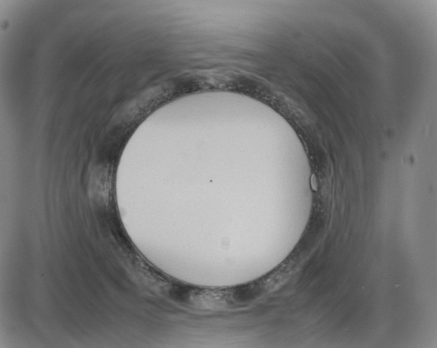 X0000085010129200703261205