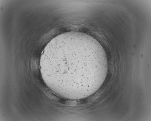 X0000085010131200703261205