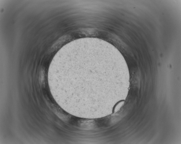 X0000085010132200703261205