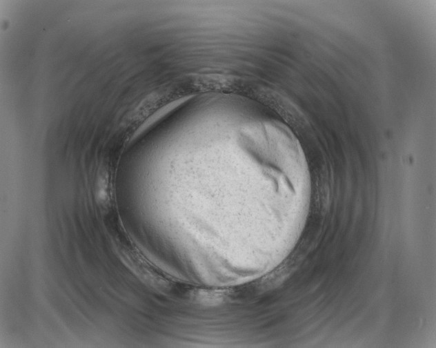 X0000085010134200703261205