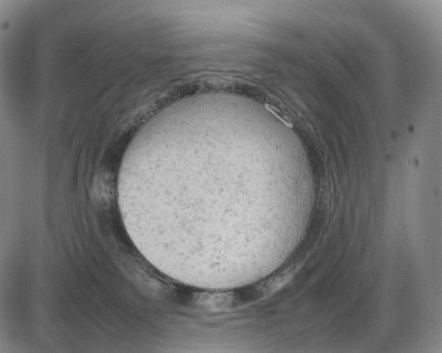 X0000085010135200703261205