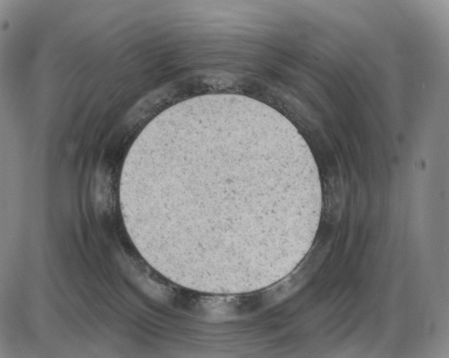 X0000085010136200703261205