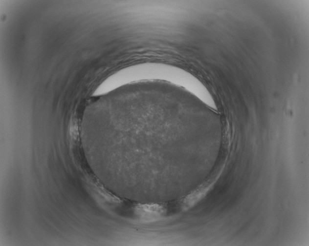 X0000085010137200703261205