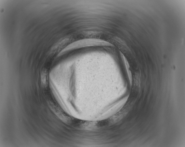 X0000085010138200703261205