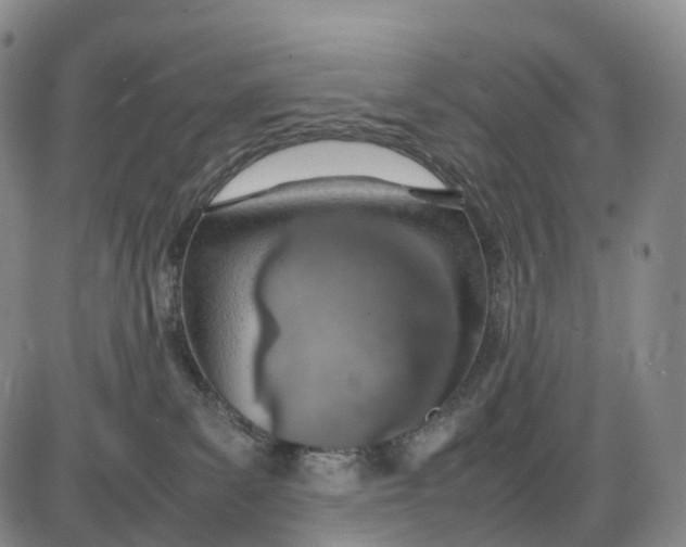 X0000085010139200703261205