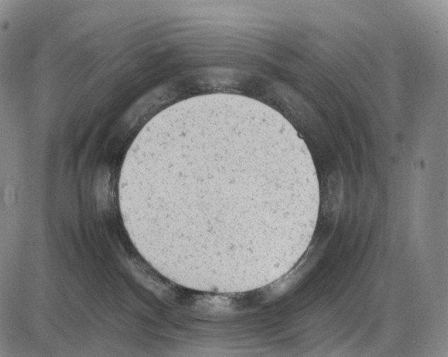 X0000085010140200703261205