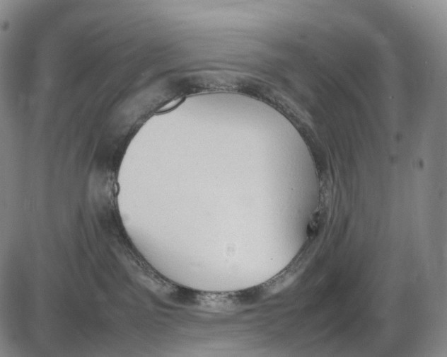 X0000085010141200703261205