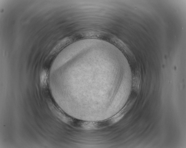 X0000085010142200703261205