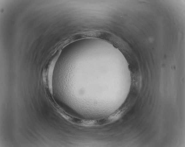 X0000085010143200703261204