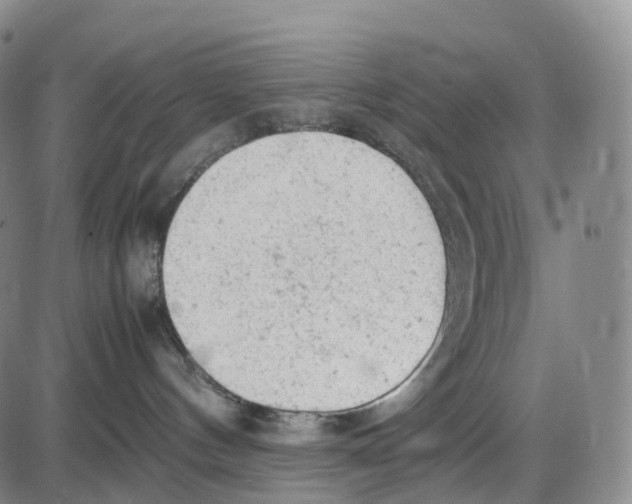 X0000085010144200703261204