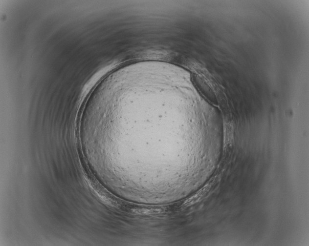 X0000085010147200703261204