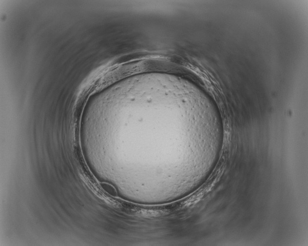 X0000085010149200703261204