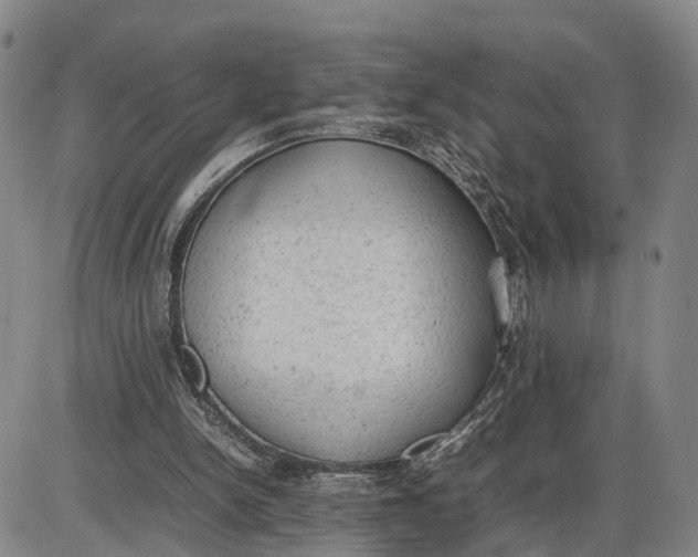 X0000085010150200703261204