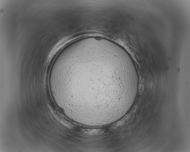 X0000085010151200703261204