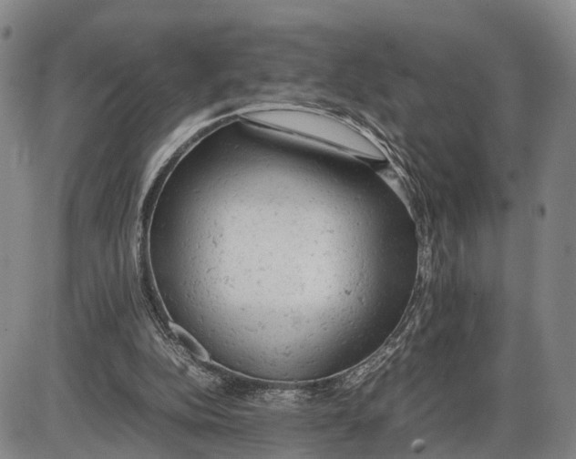 X0000085010152200703261204