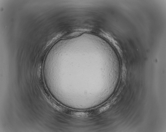 X0000085010153200703261204