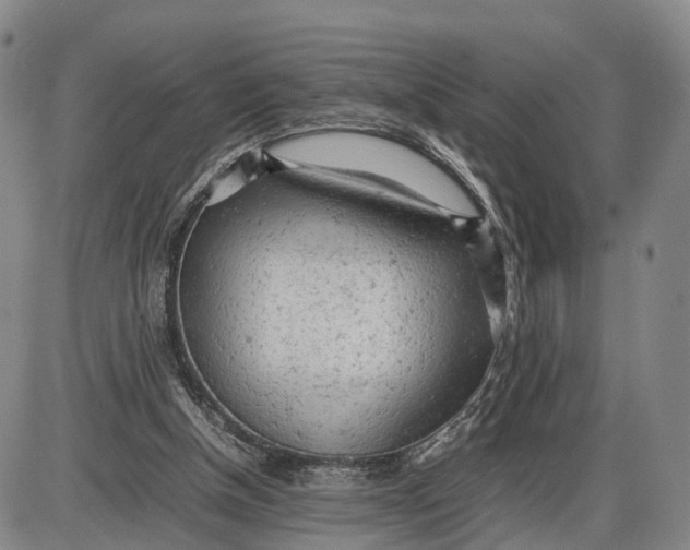 X0000085010154200703261204