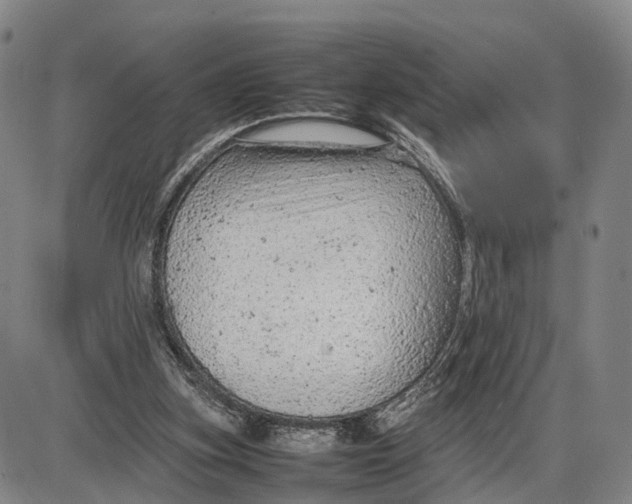 X0000085010155200703261204