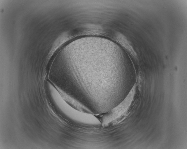 X0000085010156200703261204