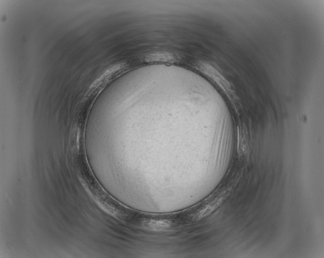 X0000085010157200703261204