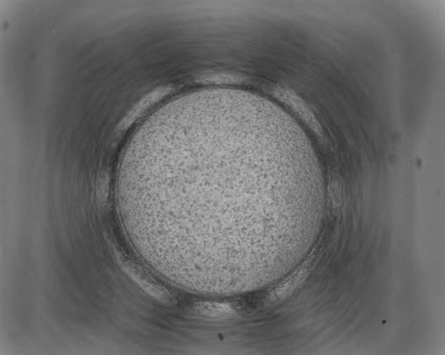 X0000085010159200703261204