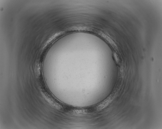 X0000085010160200703261204