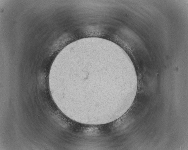 X0000085010162200703261204