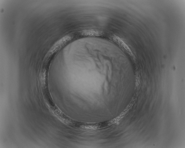 X0000085010163200703261204