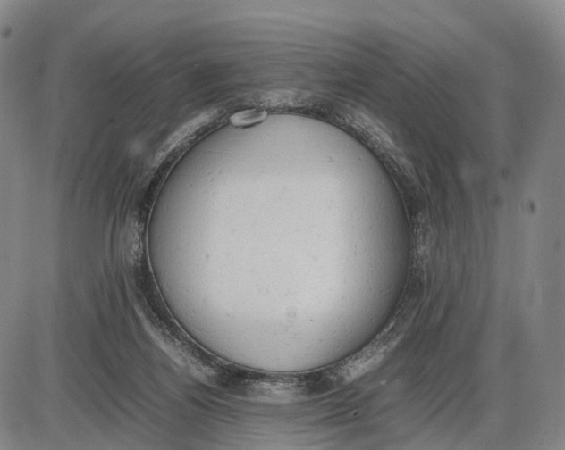 X0000085010164200703261204