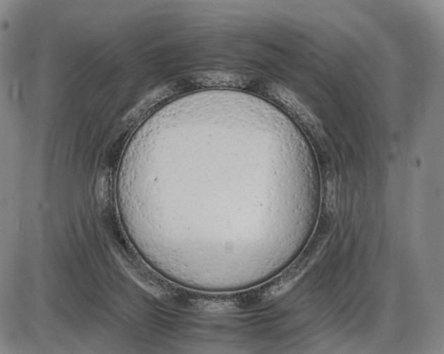 X0000085010165200703261204