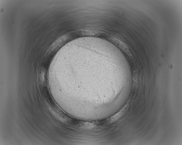 X0000085010166200703261204